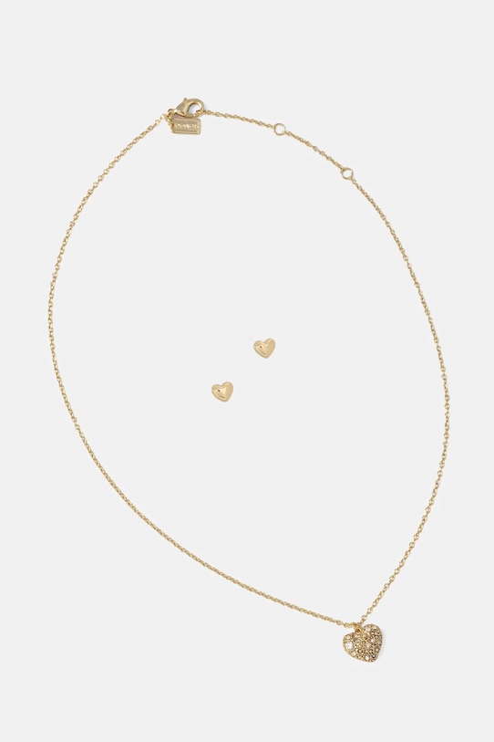 Ожерелье и серьги Coach, золотой
Ожерелье и серьги Coach, золотой