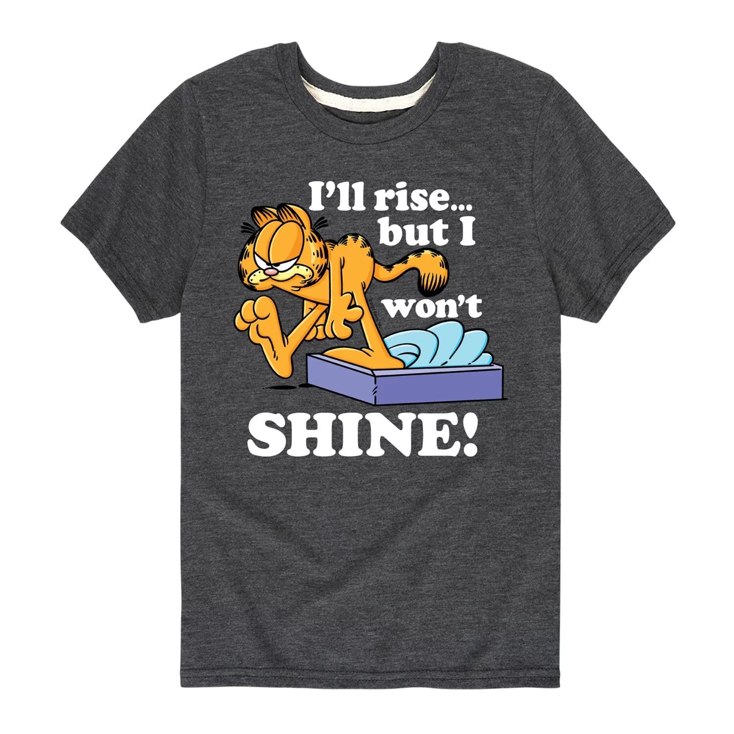 Футболка с рисунком Garfield I'll Rise для мальчиков 8–20 лет Licensed Character, серый
Футболка с рисунком Garfield I'll Rise для мальчиков 8–20 лет Licensed Character, серый
