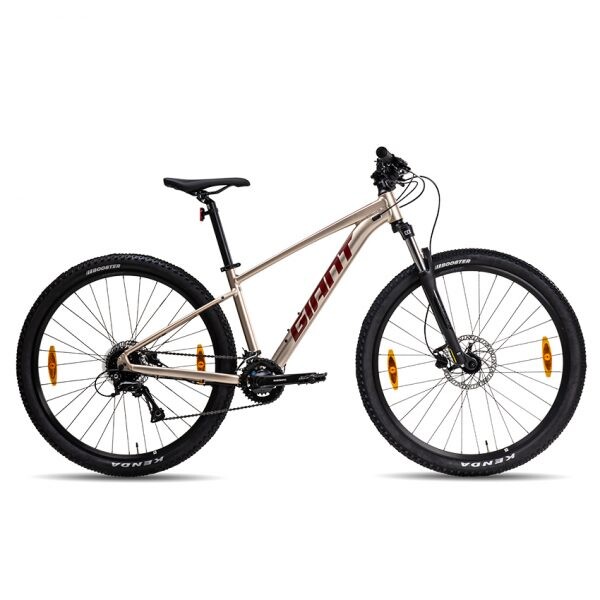 Горный велосипед Mtb Giant Talon 29 3, размер S, бежевый
Горный велосипед Mtb Giant Talon 29 3, размер S, бежевый