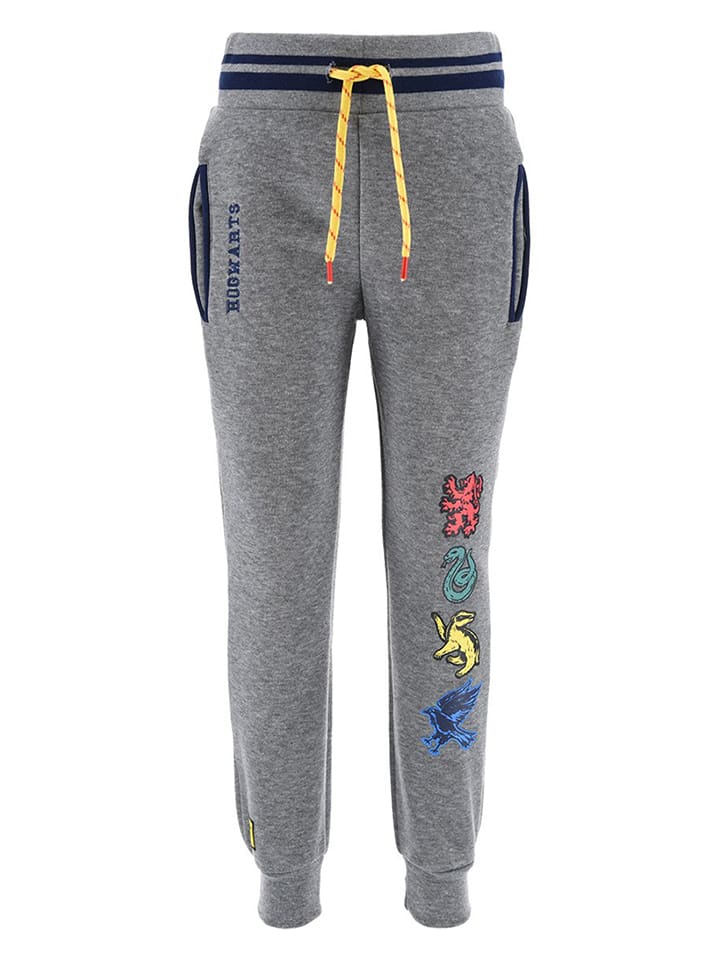 Спортивные брюки Harry Potter, серый
Спортивные брюки Harry Potter, серый