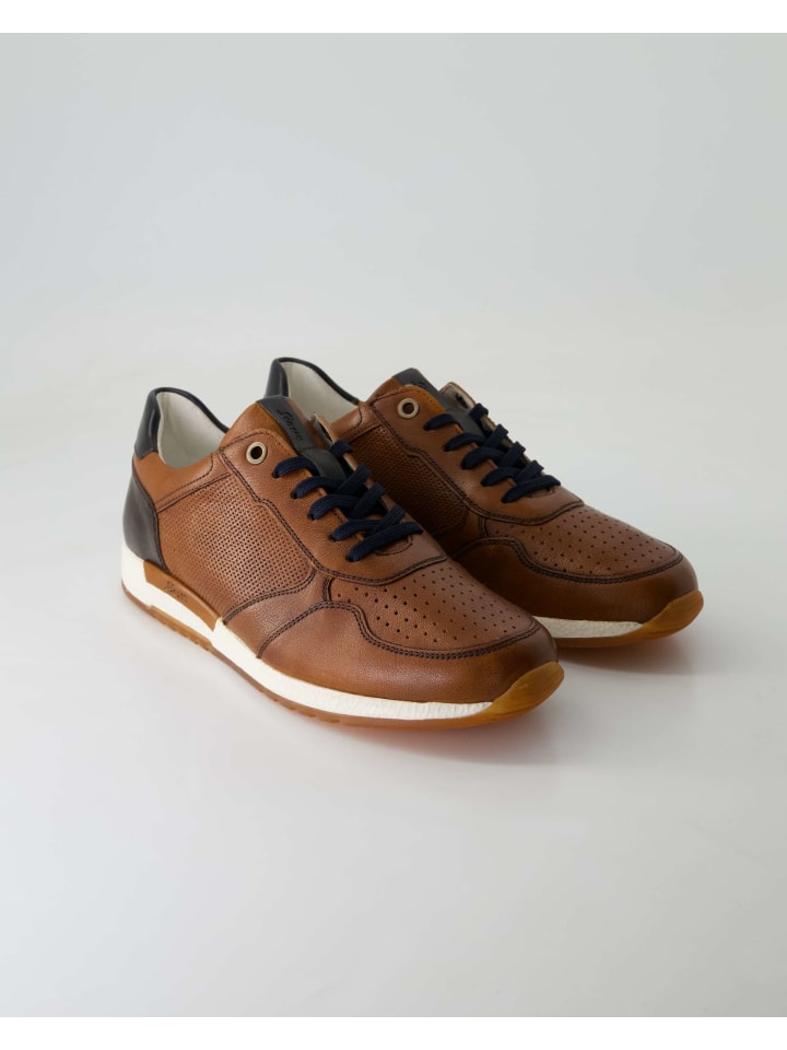 Кроссовки на шнуровке Sioux, коричневый
Кроссовки на шнуровке Sioux, коричневый