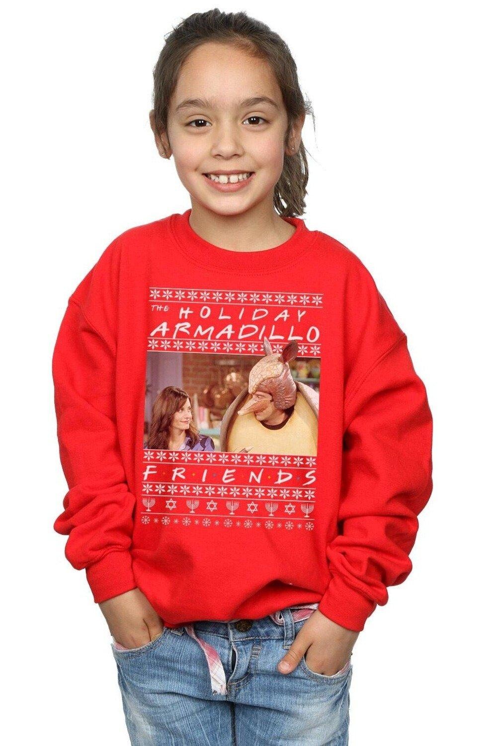 Толстовка Fair Isle Holiday Armadillo Friends, красный 
Толстовка Fair Isle Holiday Armadillo Friends, красный