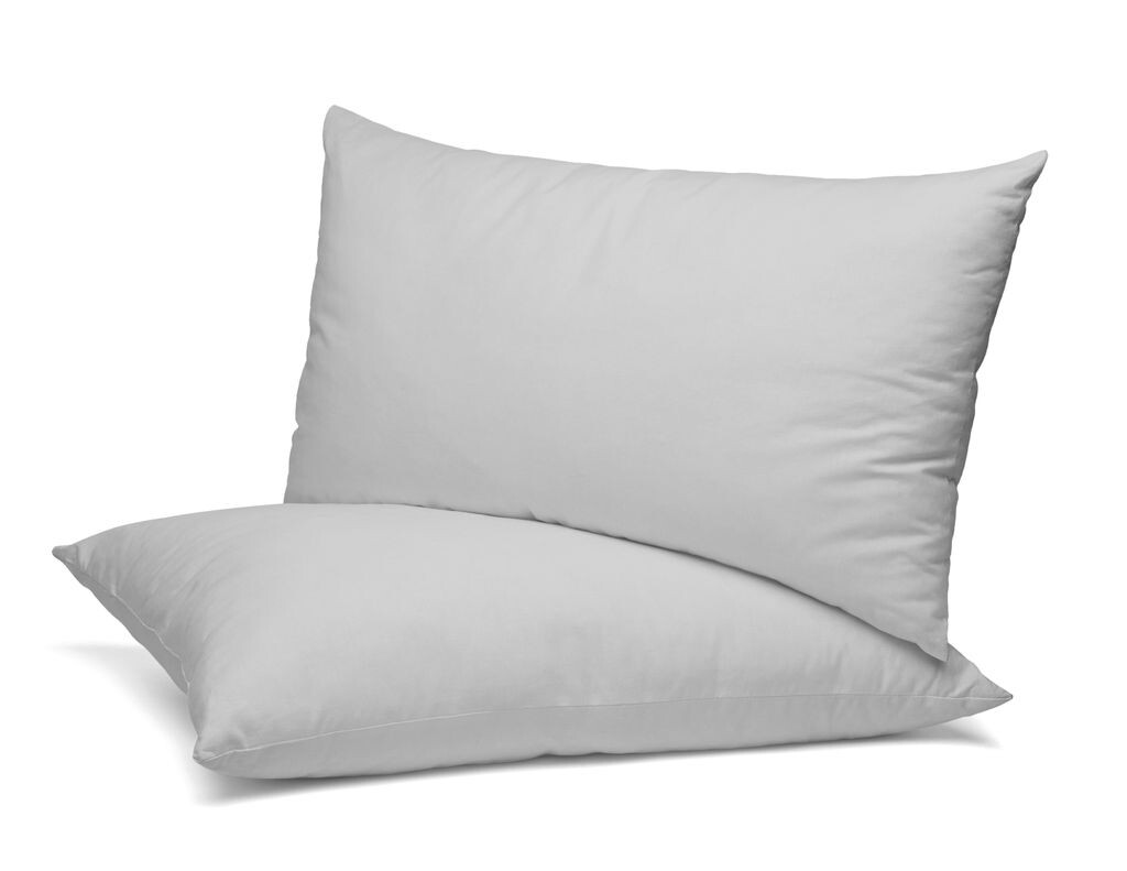 Комплект из 2 чехлов BEAUTEX (60 х 60 см, светло-серый), чехлы из чесаного хлопка, премиум-джерси 160 г/м², размер и цвет на выбор
Комплект из 2 чехлов BEAUTEX (60 х 60 см, светло-серый), чехлы из чесаного хлопка, премиум-джерси 160 г/м², размер и цвет на выбор