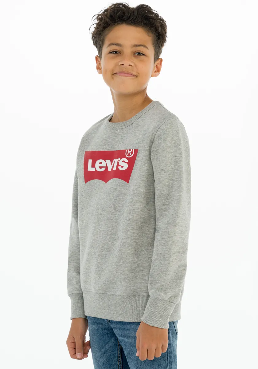 Детская толстовка Levi's "LVB LVB FRENCH TERRY BATWING", для МАЛЬЧИКОВ Levi'S Kids, серый
Детская толстовка Levi's "LVB LVB FRENCH TERRY BATWING", для МАЛЬЧИКОВ Levi'S Kids, серый