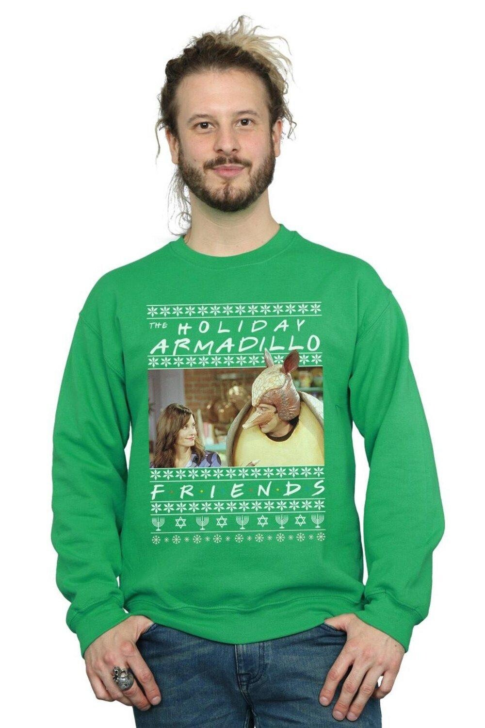 Толстовка Fair Isle Holiday Armadillo Friends, зеленый 
Толстовка Fair Isle Holiday Armadillo Friends, зеленый