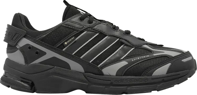 Кроссовки Adidas Spiritain 2000 GORE-TEX, черный
Кроссовки Adidas Spiritain 2000 GORE-TEX, черный