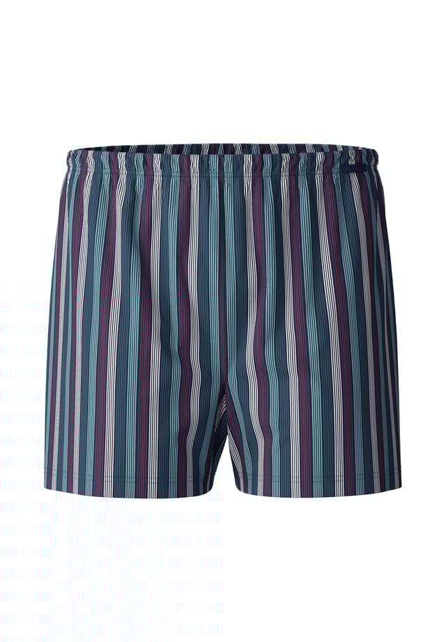 Трикотажные шорты-боксеры без принтов в виде мух Calida, синий
Трикотажные шорты-боксеры без принтов в виде мух Calida, синий