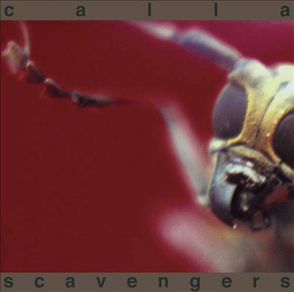 Диск CD Scavengers - Calla
Диск CD Scavengers - Calla