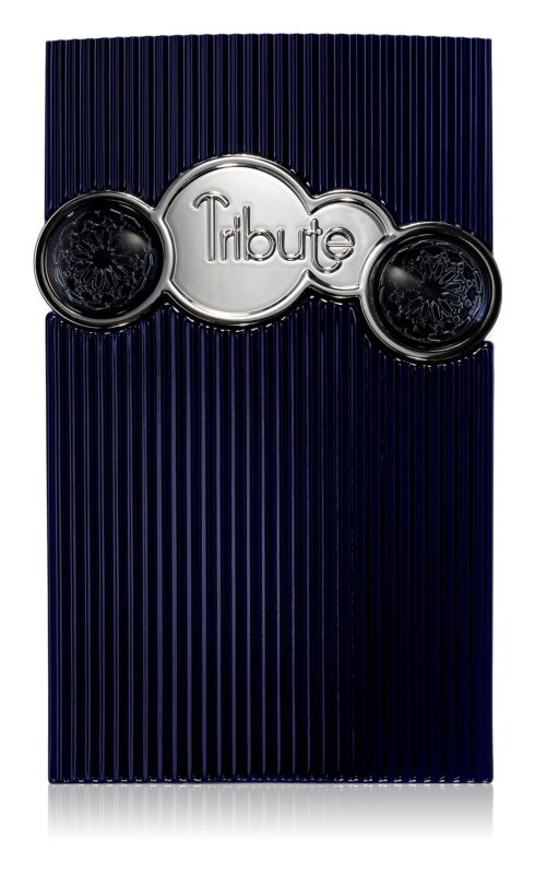 Парфюмерная вода Afnan Tribute, 100 мл
Парфюмерная вода Afnan Tribute, 100 мл