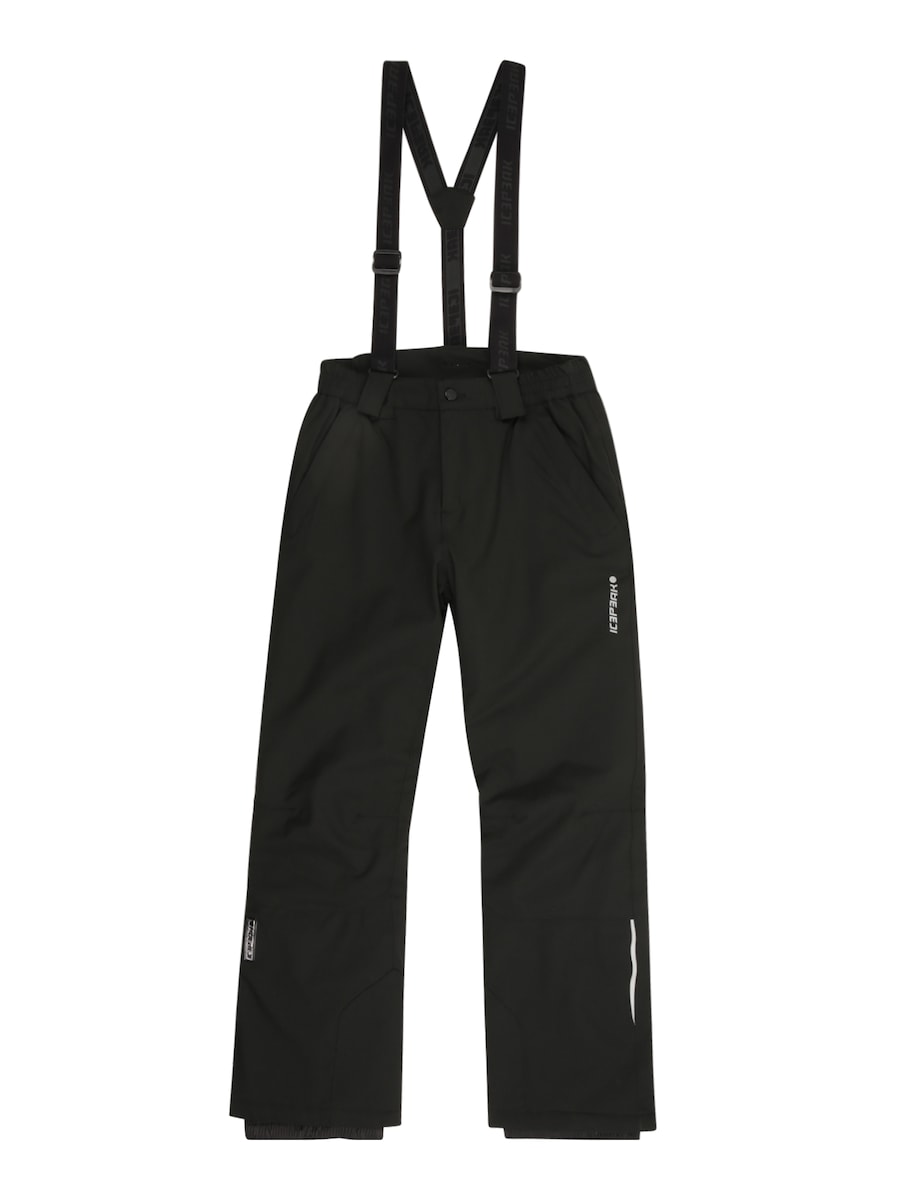 Обычные спортивные штаны ICEPEAK, черный
Обычные спортивные штаны ICEPEAK, черный