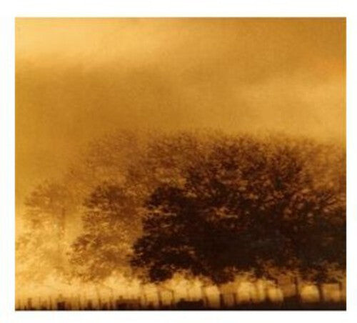 CD диск Infinite Light: Infinite Light 
CD диск Infinite Light: Infinite Light