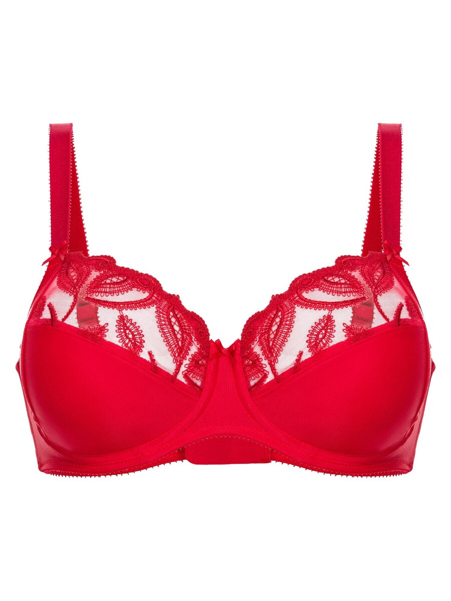 Бюстгальтер FELINA Choice, красный
Бюстгальтер FELINA Choice, красный