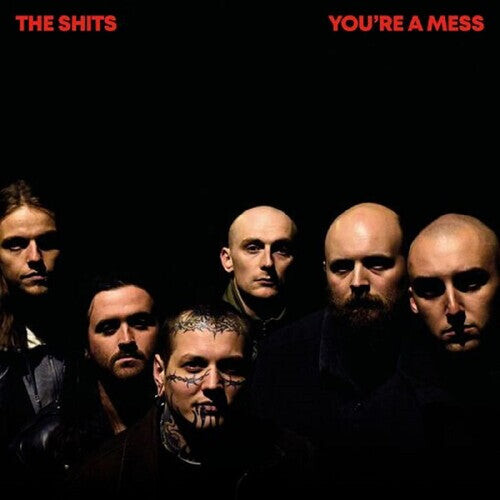 Виниловая пластинка sh*ts: You're A Mess