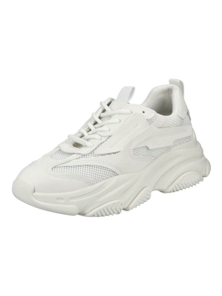 Низкие кроссовки Steve Madden, белый
Низкие кроссовки Steve Madden, белый