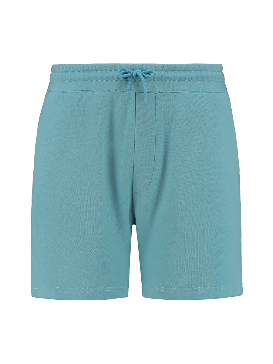 Обычные брюки Shiwi Steve, бирюзовый
Обычные брюки Shiwi Steve, бирюзовый