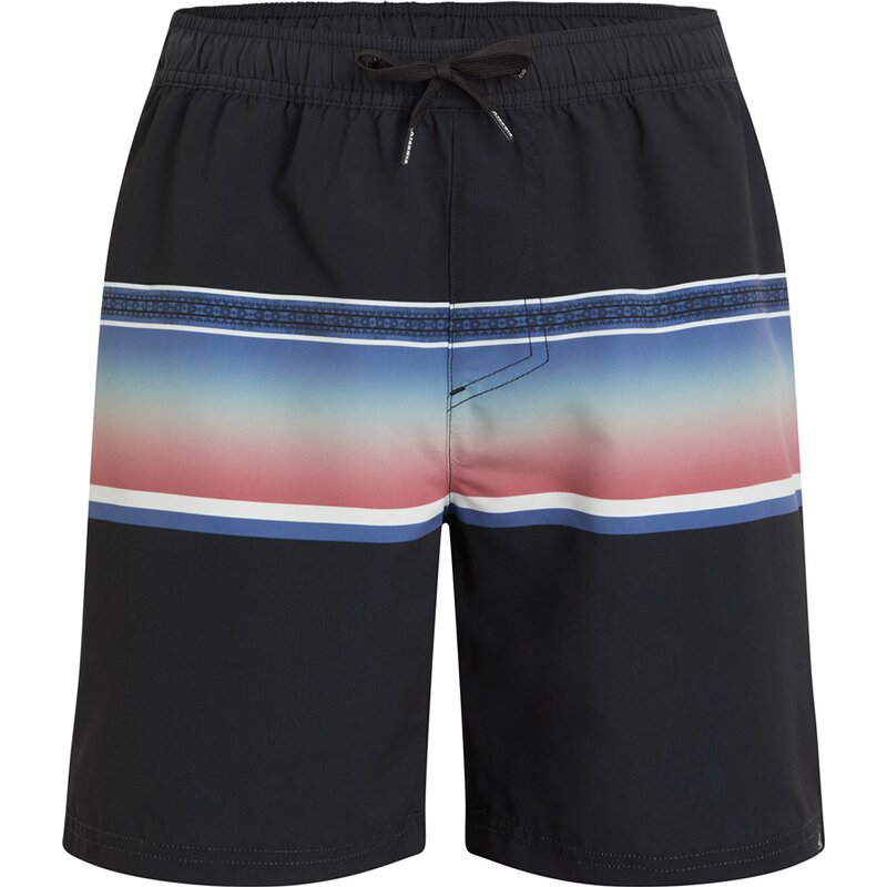 Шорты для плавания Марио М Firefly, мультиколор
Шорты для плавания Марио М Firefly, мультиколор