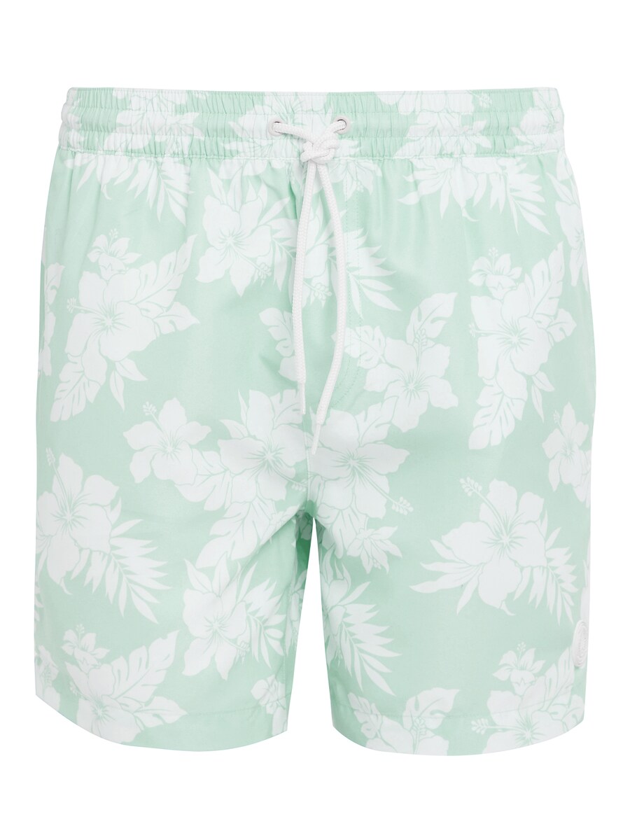 Шорты для серфинга Threadbare Sunset, светло-зеленый
Шорты для серфинга Threadbare Sunset, светло-зеленый
