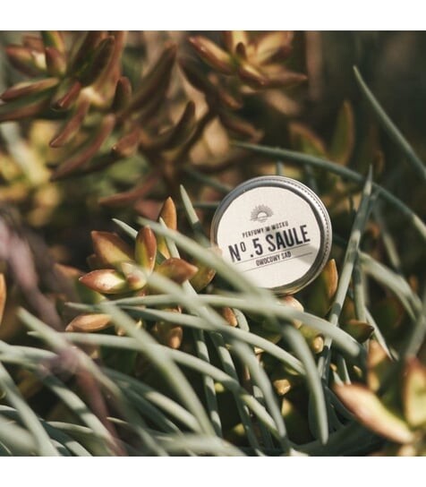 Духи на соевом воске, 12 г Bydgoska Wytwórnia Mydła, No. 5 Saule
Духи на соевом воске, 12 г Bydgoska Wytwórnia Mydła, No. 5 Saule