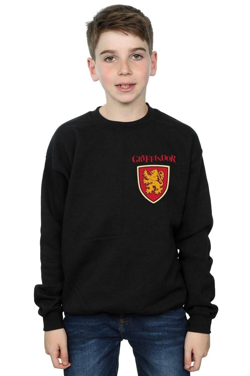 Толстовка с искусственным карманом «Гриффиндорский лев» Harry Potter, черный
Толстовка с искусственным карманом «Гриффиндорский лев» Harry Potter, черный
