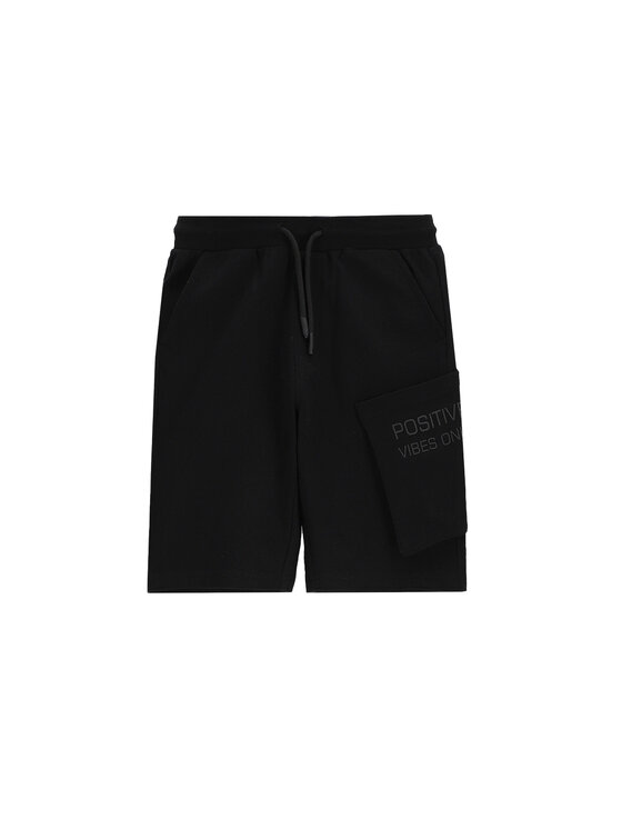 Спортивные шорты обычного кроя WC5120501VBC Coccodrillo, черный
Спортивные шорты обычного кроя WC5120501VBC Coccodrillo, черный