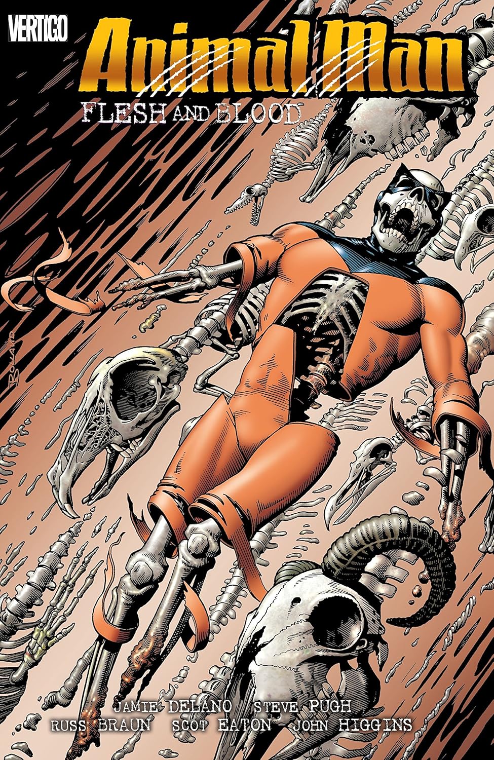 Animal Man Vol. 6: Flesh and Blood (Vertigo)
Animal Man Vol. 6: Flesh and Blood (Vertigo)