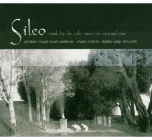 CD диск Bach, J.S. / Handel / Haydn / Brahms / Chopin: Sileo: Music for Contemplation
CD диск Bach, J.S. / Handel / Haydn / Brahms / Chopin: Sileo: Music for Contemplation