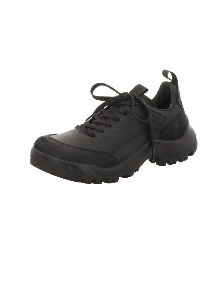 Низкие кроссовки Ecco Offroad, черный
Низкие кроссовки Ecco Offroad, черный