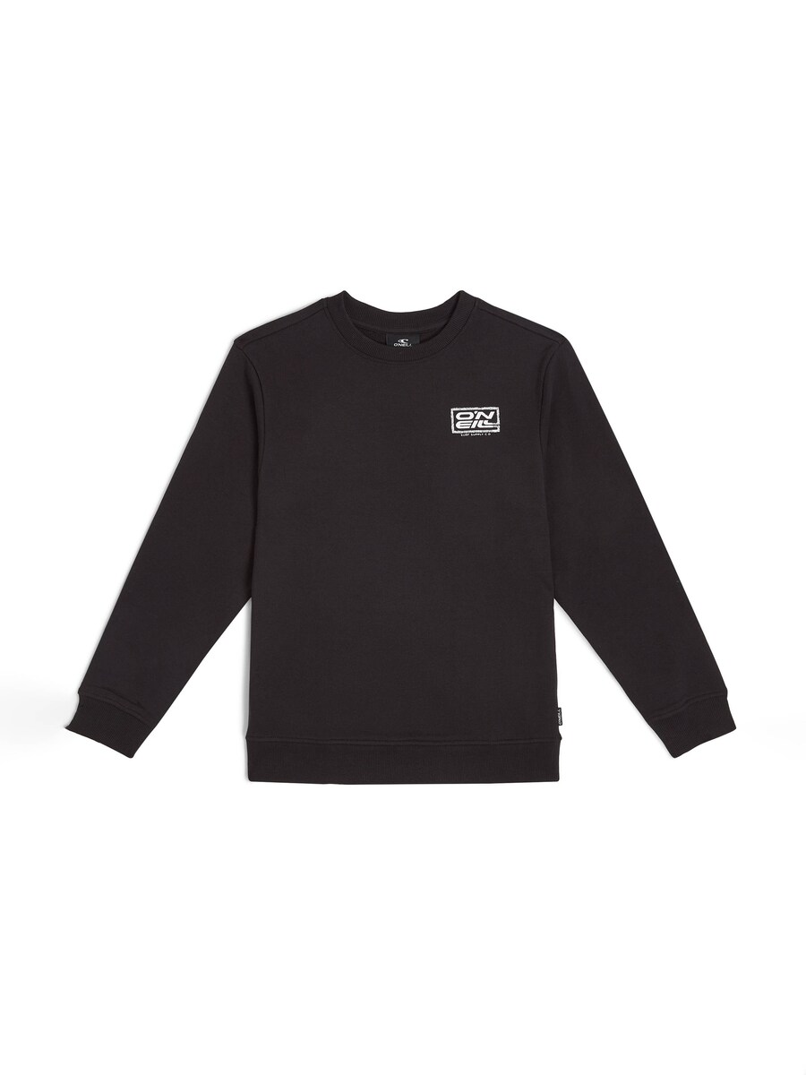 Толстовка O'NEILL, черный
Толстовка O'NEILL, черный