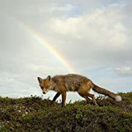 Виниловая пластинка Meek, Buck: Buck Meek
Виниловая пластинка Meek, Buck: Buck Meek