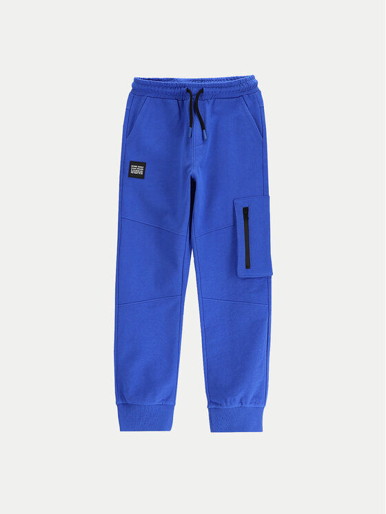 Спортивные брюки обычного кроя WC5120102MBJ Coccodrillo, синий
Спортивные брюки обычного кроя WC5120102MBJ Coccodrillo, синий