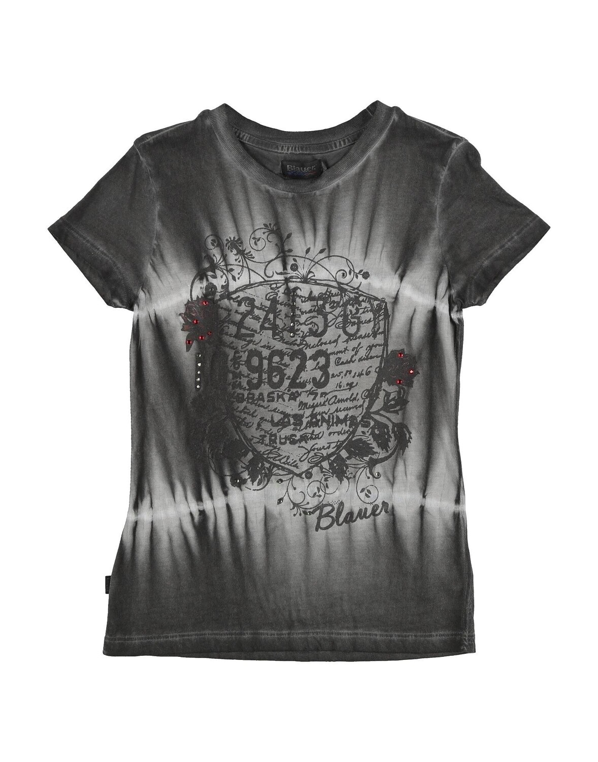 Футболка Blauer, серый
Футболка Blauer, серый