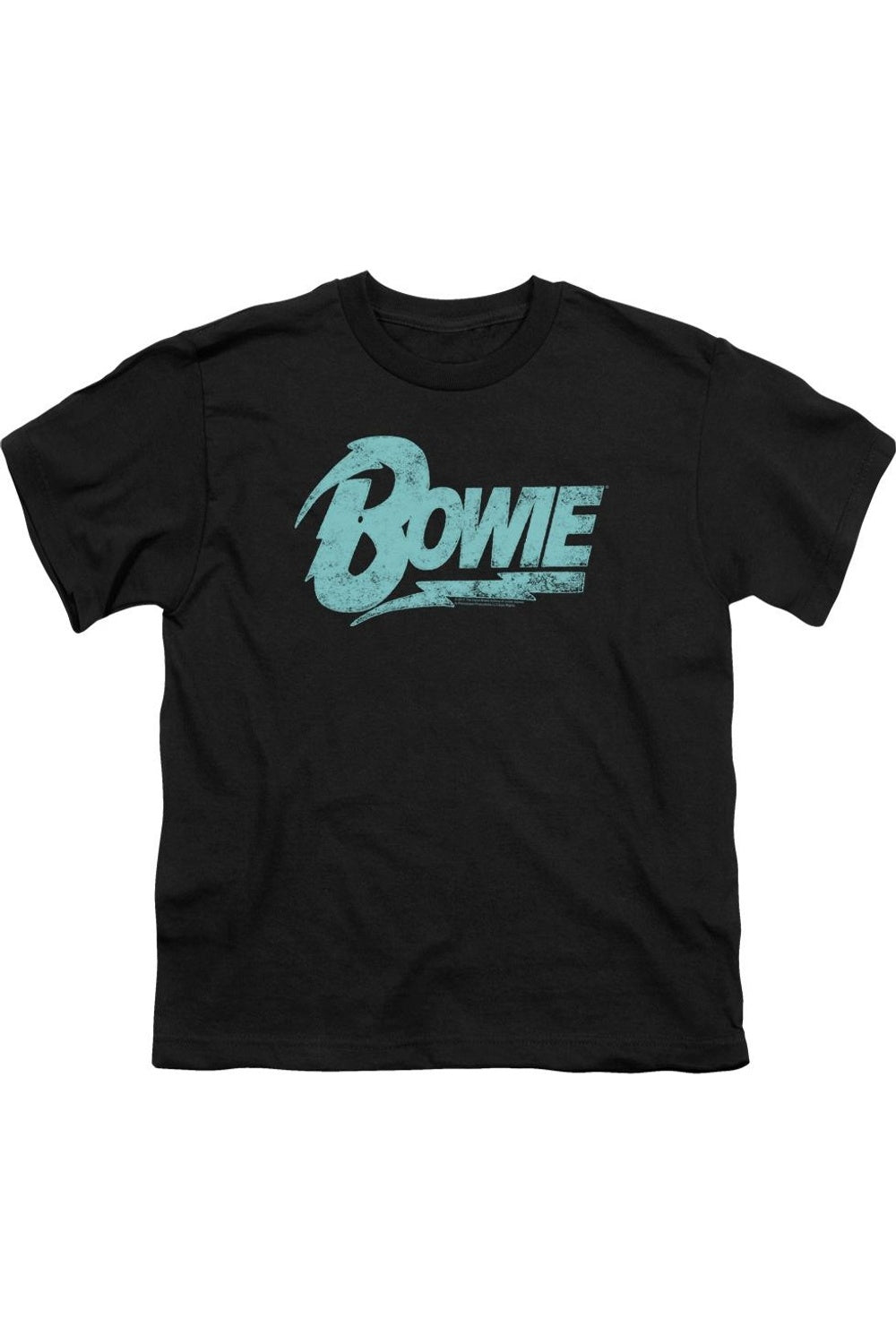 Футболка с коротким рукавом и логотипом David Bowie для детей Gildan, черный
Футболка с коротким рукавом и логотипом David Bowie для детей Gildan, черный