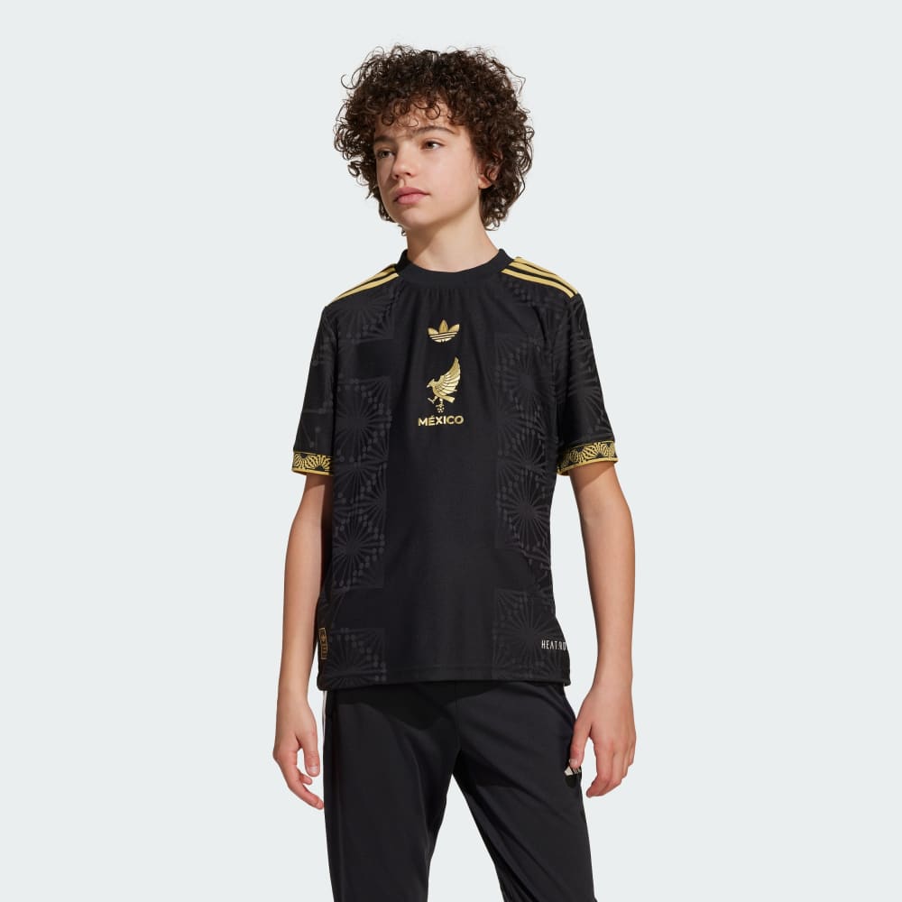Джерси Adidas Mexico 25 Gold Jersey Kids, черный
Джерси Adidas Mexico 25 Gold Jersey Kids, черный
