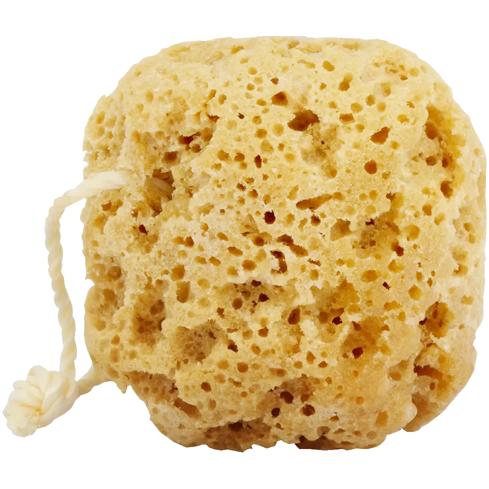 Alma K. губка для умывания натуральная с кремом для тела, 1 шт. 
Alma K. губка для умывания натуральная с кремом для тела, 1 шт.