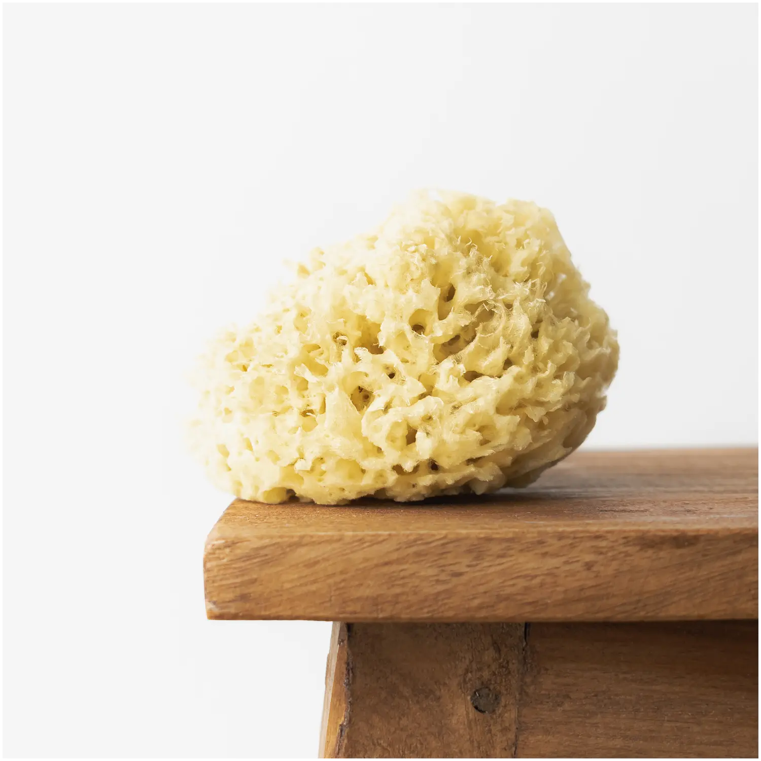 Hhuumm натуральная губка для ванн 9,5 см, 1 шт.
Hhuumm натуральная губка для ванн 9,5 см, 1 шт.