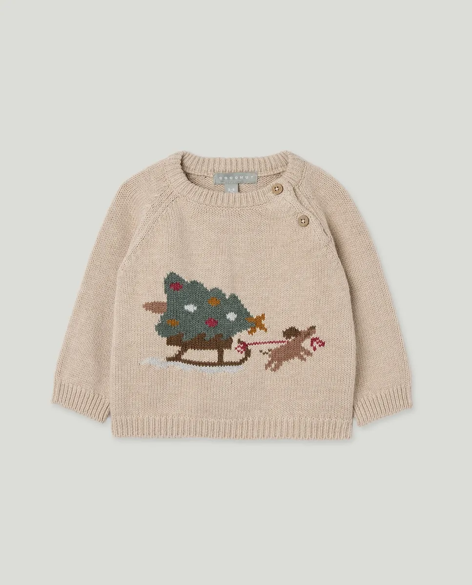 Свитер с круглым вырезом, интарсия, рождественская елка и собачья упряжка для малыша Coconut El Corte Inglés, светло-серый
Свитер с круглым вырезом, интарсия, рождественская елка и собачья упряжка для малыша Coconut El Corte Inglés, светло-серый