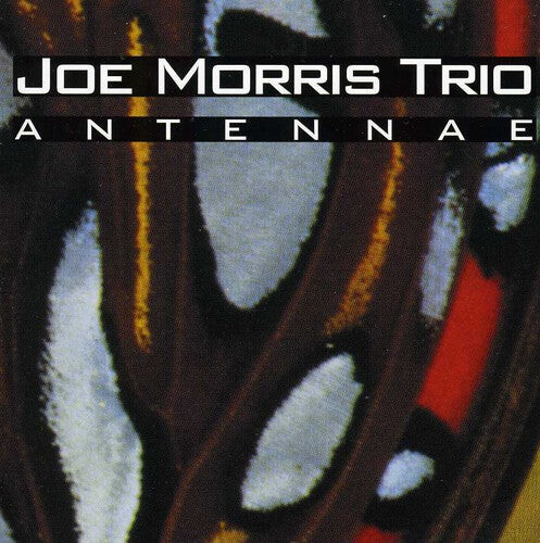 CD диск Morris, Joe: Antennae
CD диск Morris, Joe: Antennae