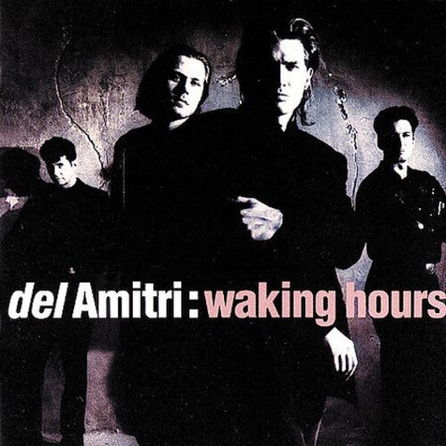 CD диск Del Amitri: Waking Hours
CD диск Del Amitri: Waking Hours