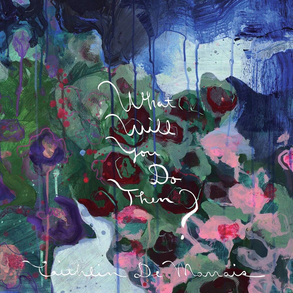 Виниловая пластинка LP What Will You Do Then - Caithlin De Marrais
Виниловая пластинка LP What Will You Do Then - Caithlin De Marrais