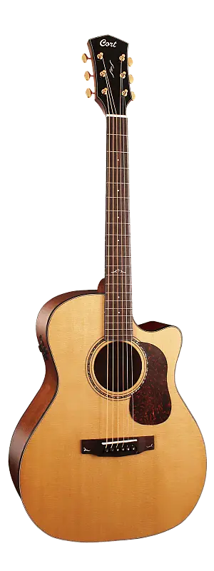 Акустическая гитара Cort Gold-A6
Акустическая гитара Cort Gold-A6