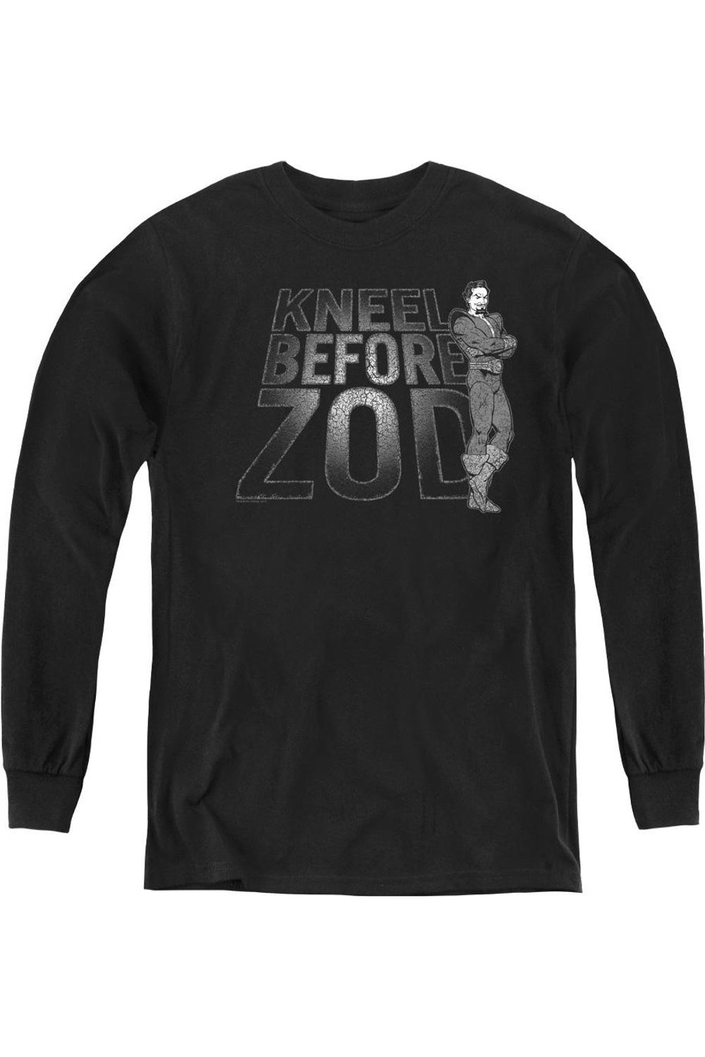 Футболка с длинным рукавом DC Comics "Kneel Zod" Youth Gildan, черный
Футболка с длинным рукавом DC Comics "Kneel Zod" Youth Gildan, черный