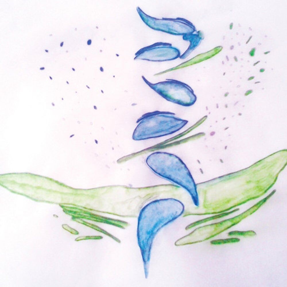 Виниловая пластинка LP Iterations - FIS
Виниловая пластинка LP Iterations - FIS