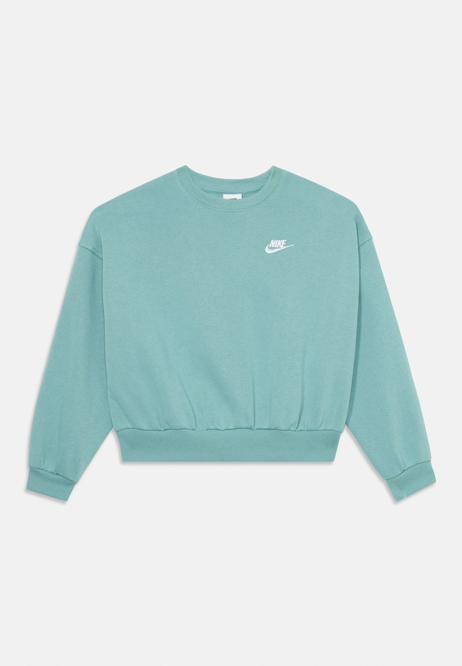 Толстовка Nike Sportswear CLUB, Cannon/White/Light Green
Толстовка Nike Sportswear CLUB, Cannon/White/Light Green