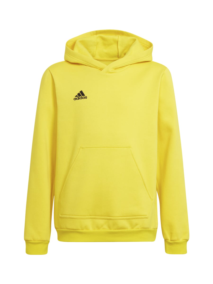 Спортивная толстовка ADIDAS PERFORMANCE Entrada 22, желтый
Спортивная толстовка ADIDAS PERFORMANCE Entrada 22, желтый