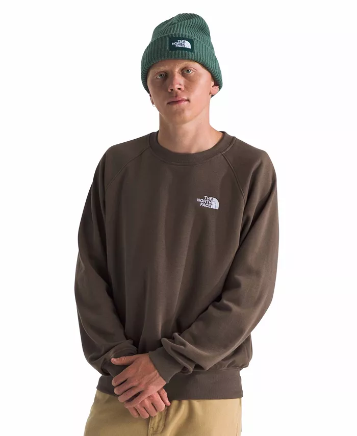 Мужской свитшот Evolution с круглым вырезом The North Face, коричневый 
Мужской свитшот Evolution с круглым вырезом The North Face, коричневый