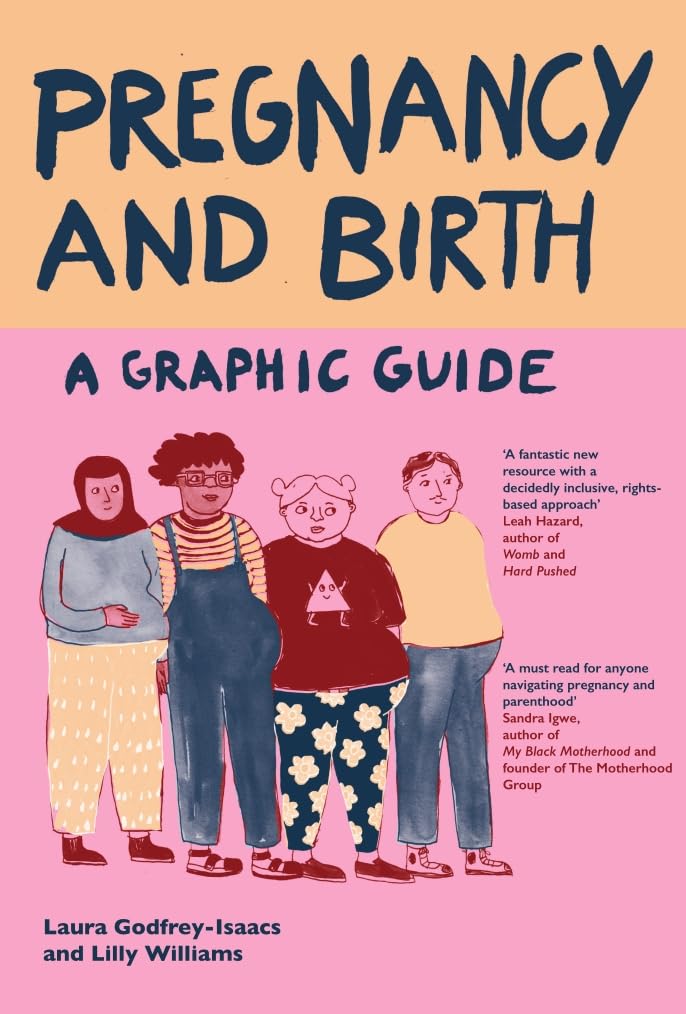 Pregnancy and Birth: A Graphic Guide (Icon Books)
Pregnancy and Birth: A Graphic Guide (Icon Books)