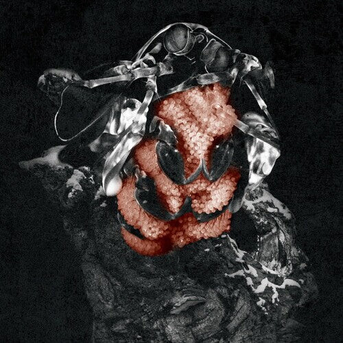 CD диск My Lonely Sea: Gloom
CD диск My Lonely Sea: Gloom