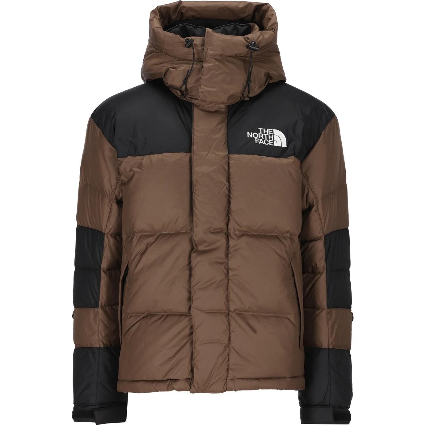 Коллекция одежды Куртка мужская темно-коричневый The North Face
Коллекция одежды Куртка мужская темно-коричневый The North Face