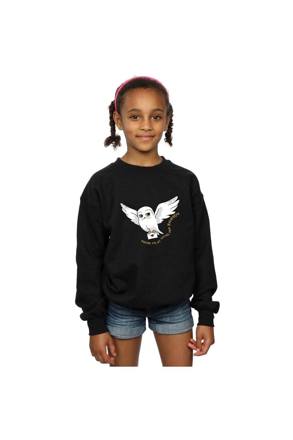 Толстовка с надписью «Сова» Harry Potter, черный
Толстовка с надписью «Сова» Harry Potter, черный