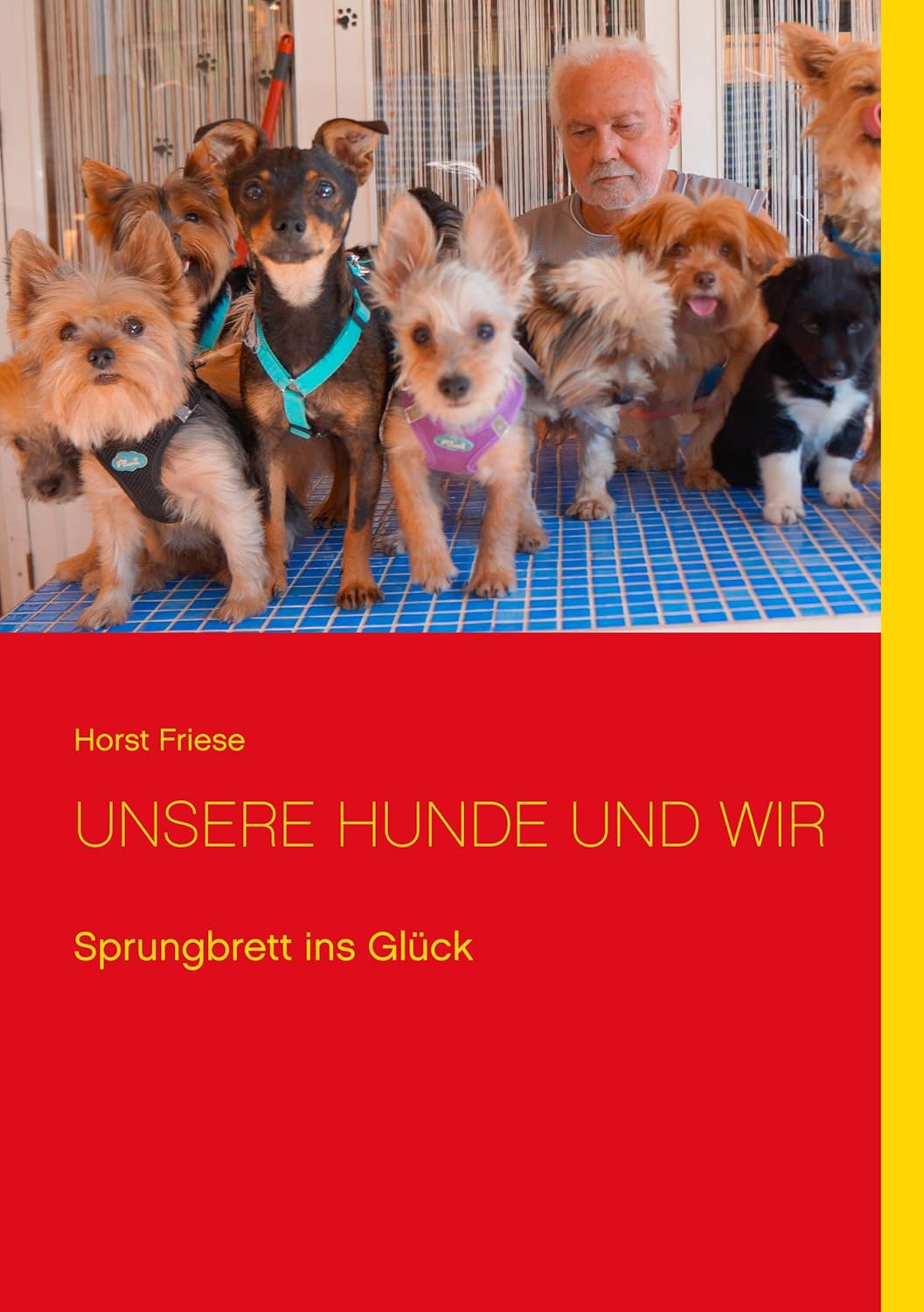 Unsere Hunde und wir: Sprungbrett ins Glück (German Edition) (Bod - Books on Demand)
Unsere Hunde und wir: Sprungbrett ins Glück (German Edition) (Bod - Books on Demand)